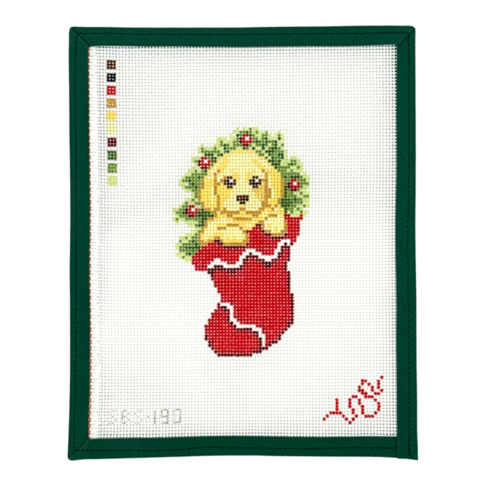 Golden in Stocking