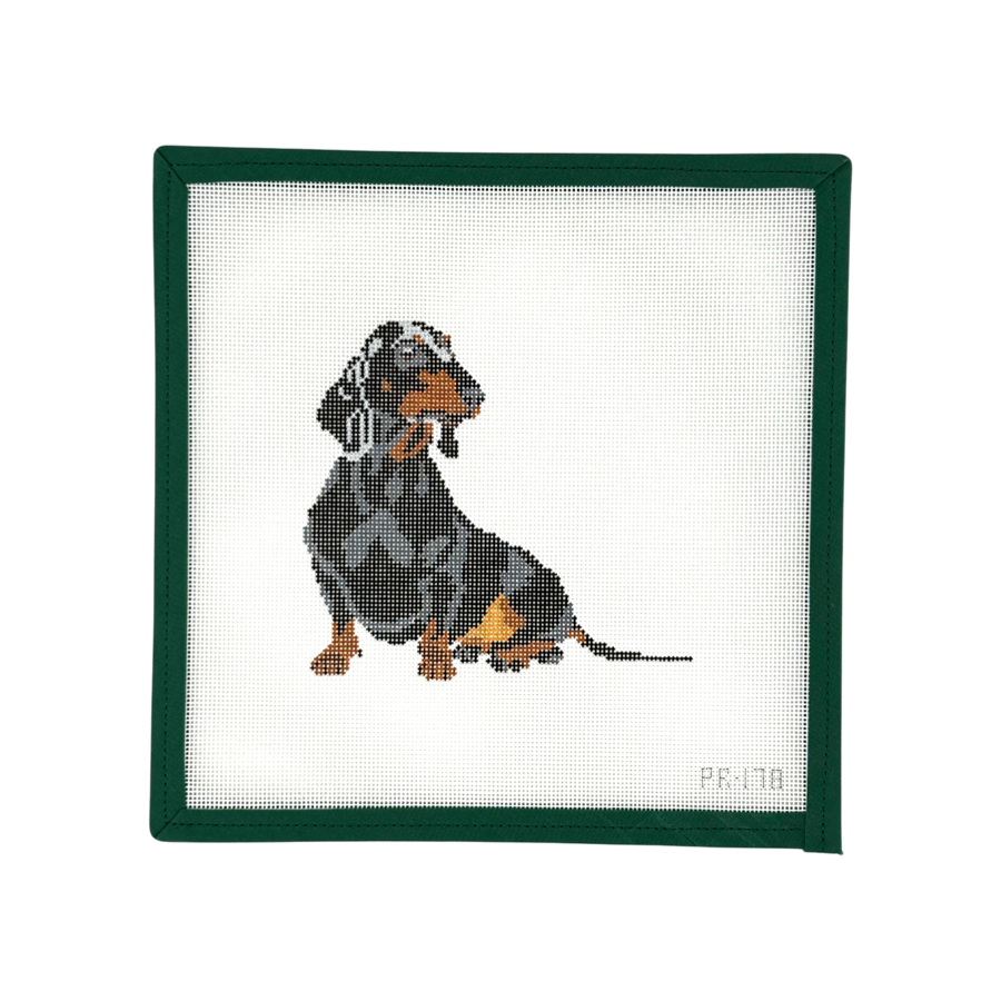 Gretel the Dachshund