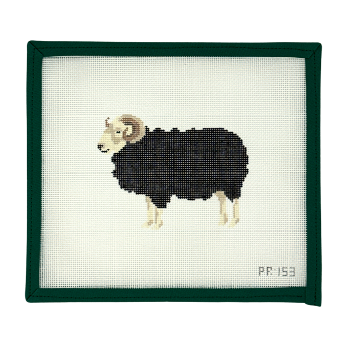 Herdwick Ram