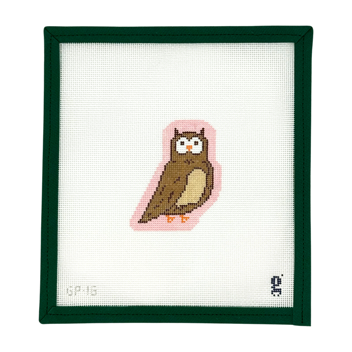 Little Brown Owl Canvas