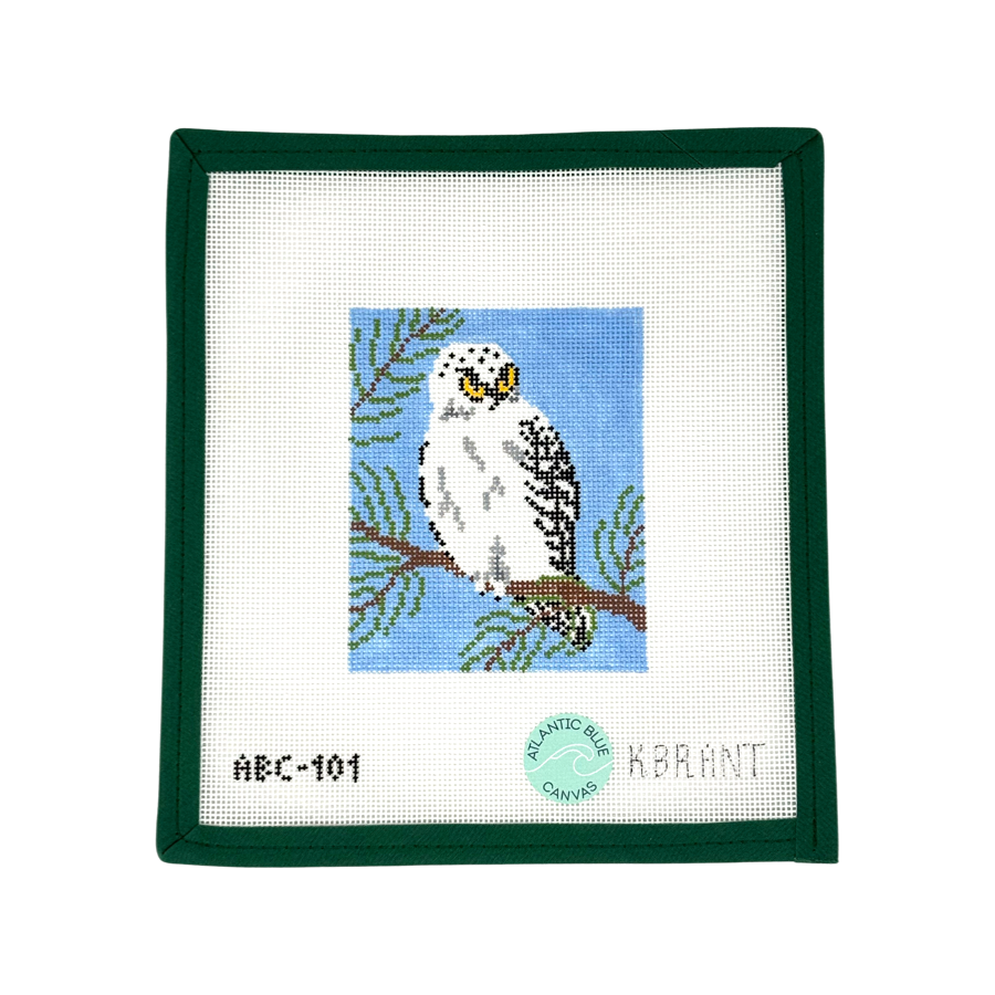 Snowy Owl