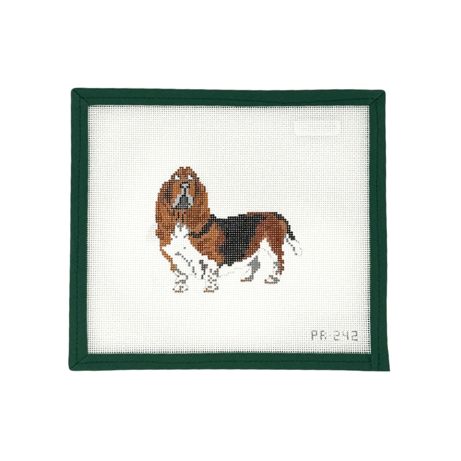 Basset Hound