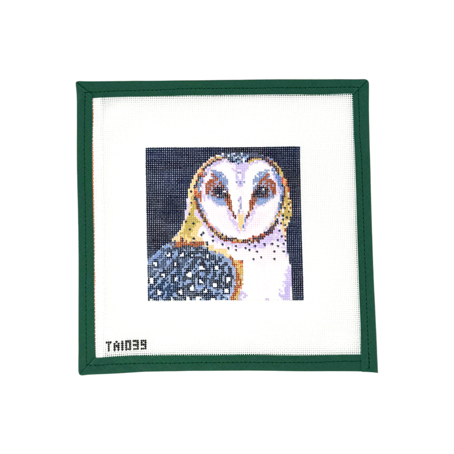 Mini Barn Owl