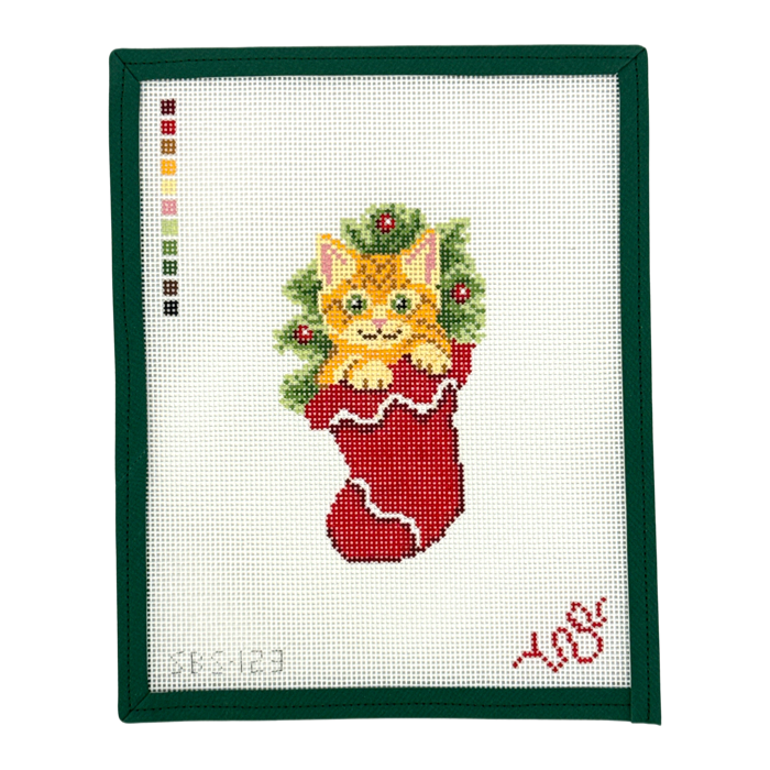 Tabby Kitten in a Stocking