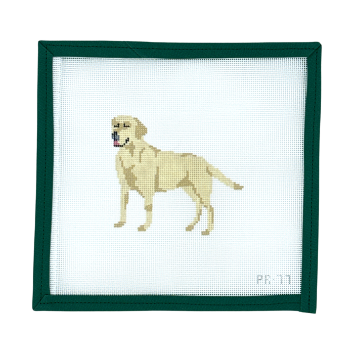 Yellow Lab