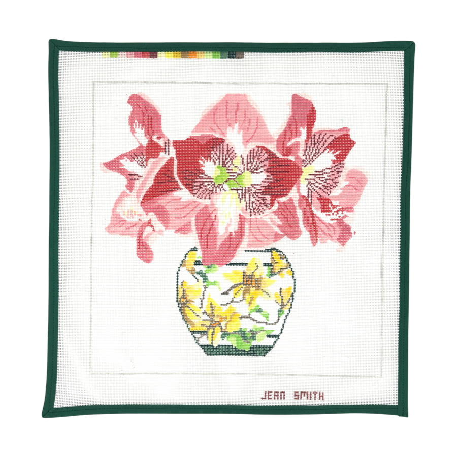 Amaryllis in Japanese Vase