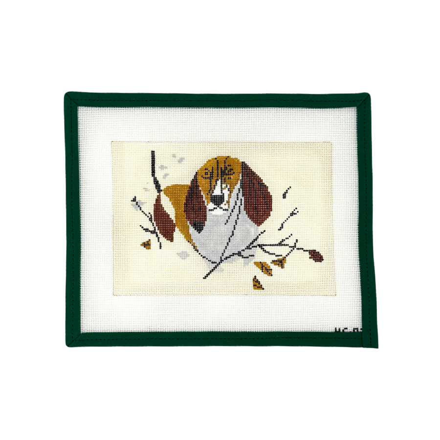 Basset Hound