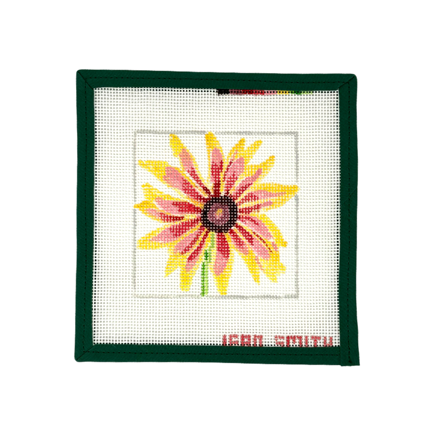 Brown Eyed Susan