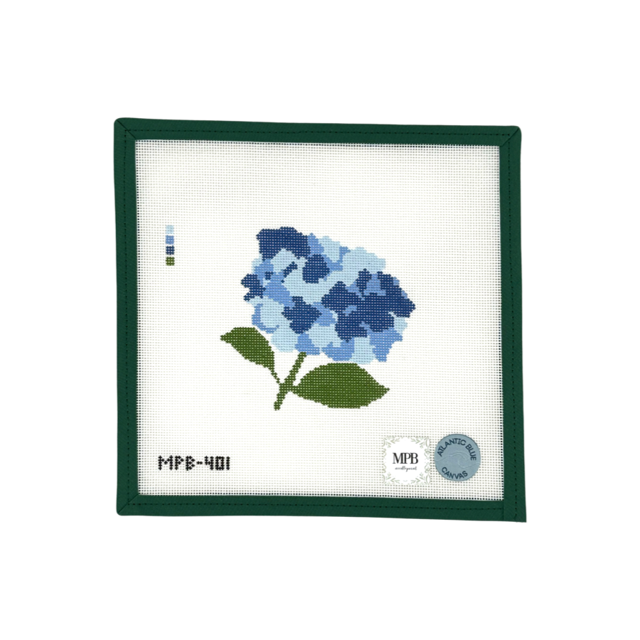 Hydrangea