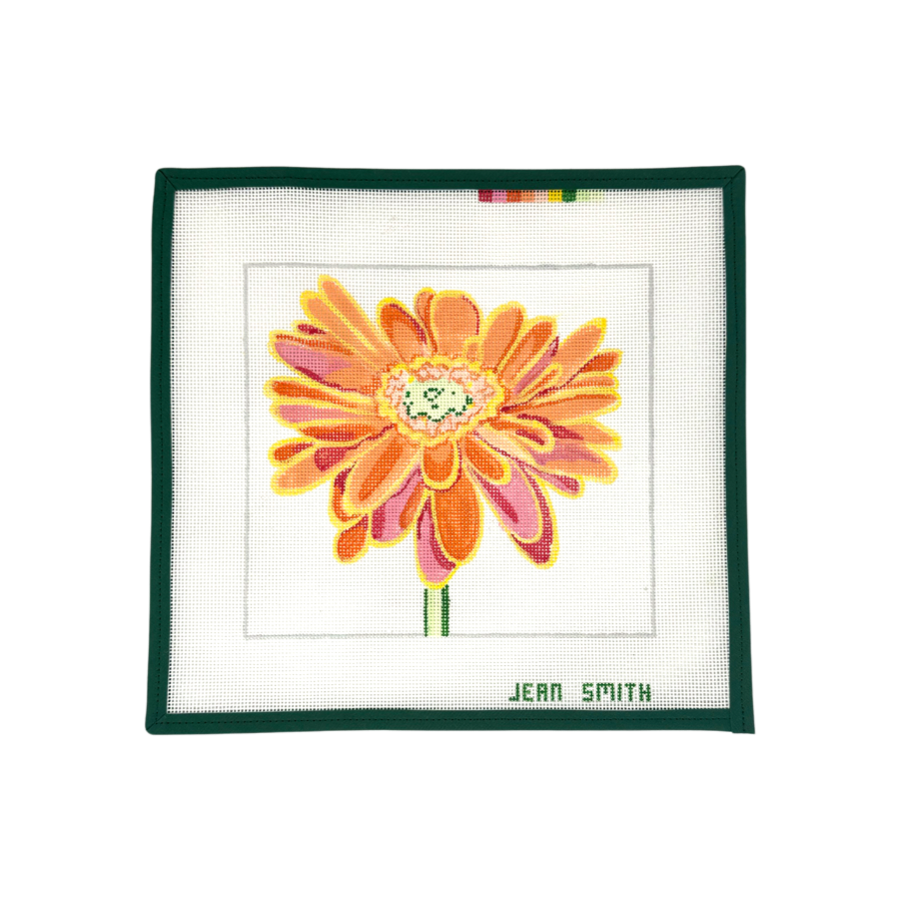Orange Daisy