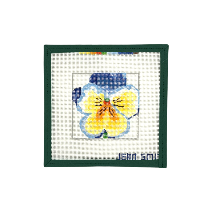 Pansy