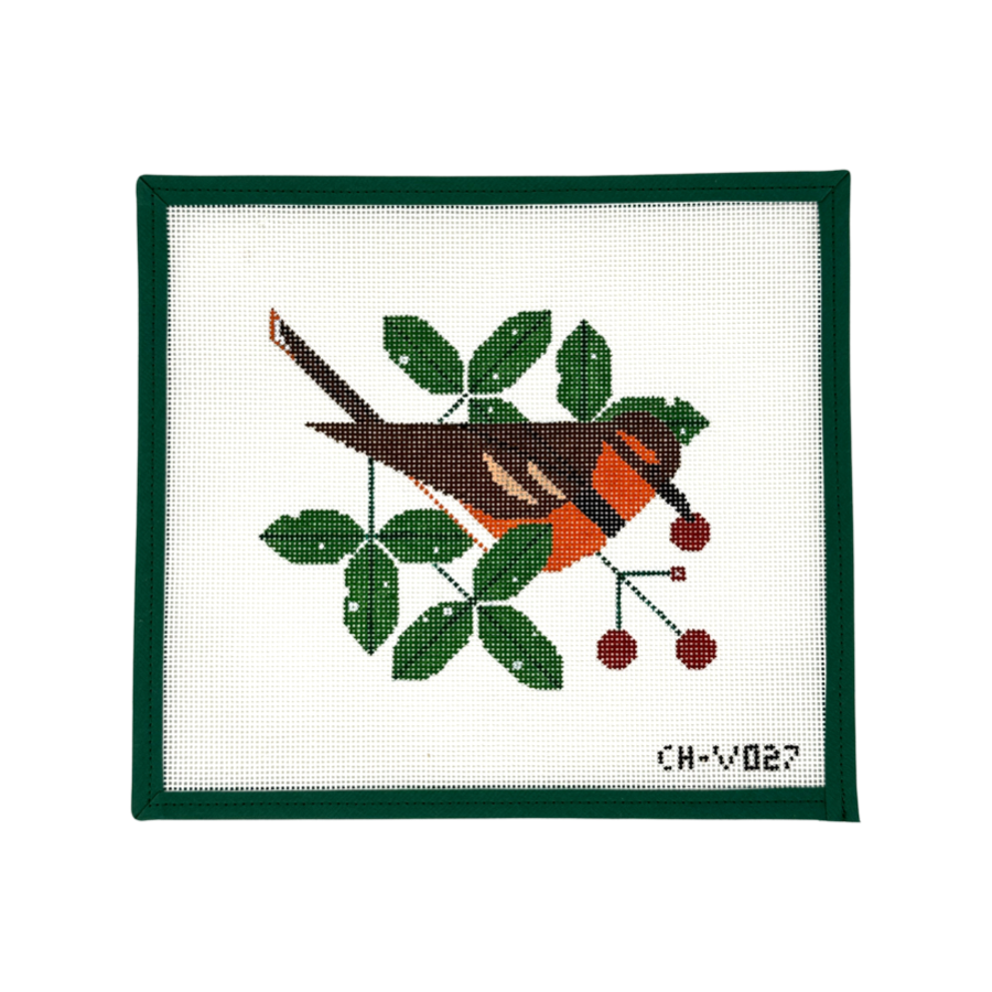Varied Thrush